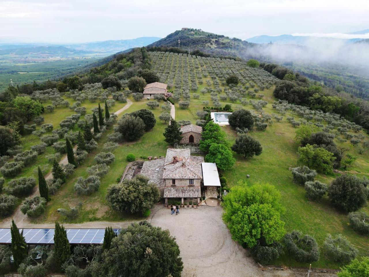 The Country House Montali Tavernelle  Экстерьер фото